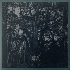 Enisum - Seasons of Desolation GDLP