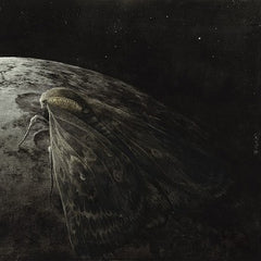 Augrimmer -Moth and the Moon CD