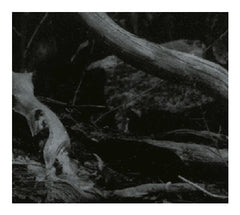 Barren Canyon - World of Wounds Digipack