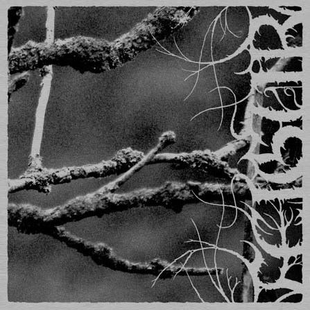 Feigur - II, Desolation Digi