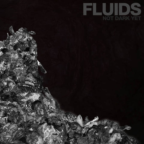 Fluids - Not Dark Yet CD