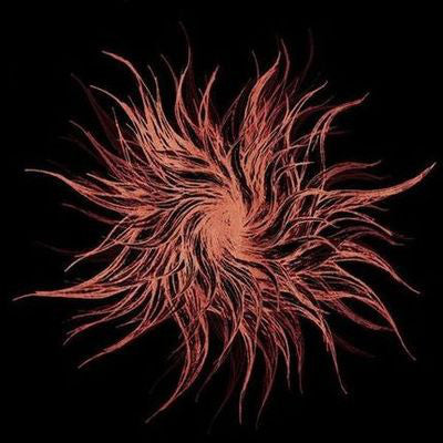 Galaktik Cancer Squad - Ghost Light CD