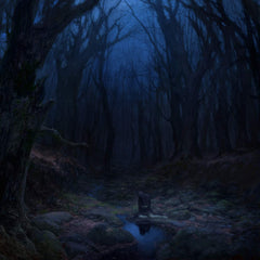 Woods of Desolation - Torn Beyond Reason LP